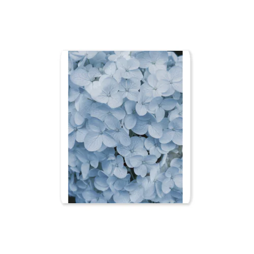 hydrangea Sticker