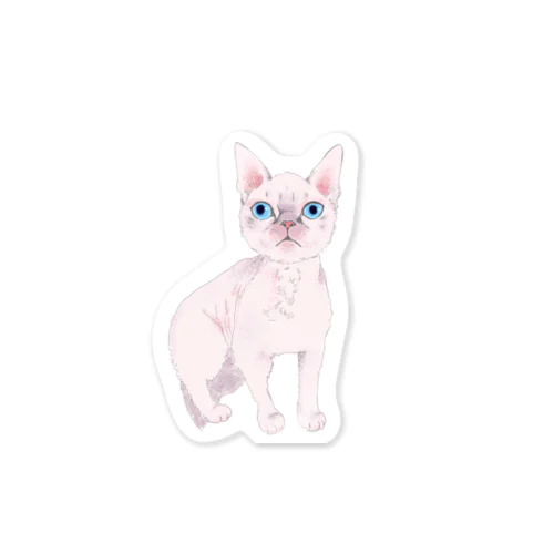 ピンク猫 Sticker