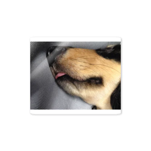 犬の寝顔 Sticker
