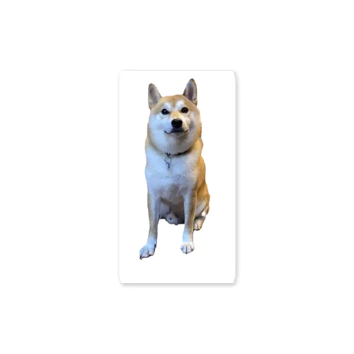 柴犬の五郎 Sticker