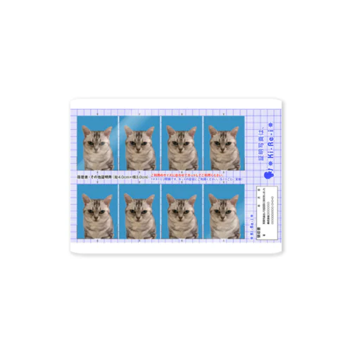 飼い猫の証明写真 Sticker