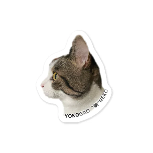 横顔美人猫 Sticker