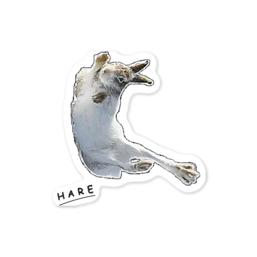 HARE Sticker