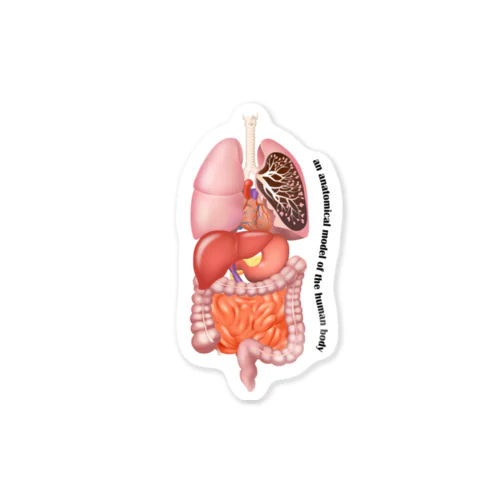 人体臓器デザイン Sticker