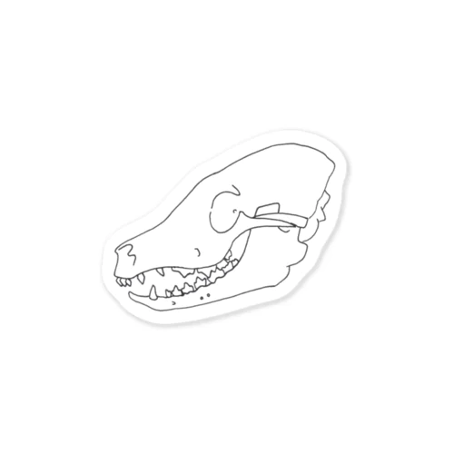 犬　頭蓋骨と下顎骨　右外側面 Sticker