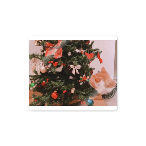 クリスマスツリーとうちの猫 Sticker