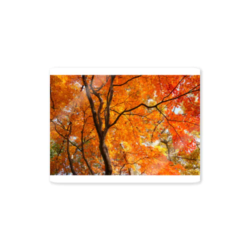 紅葉 Sticker