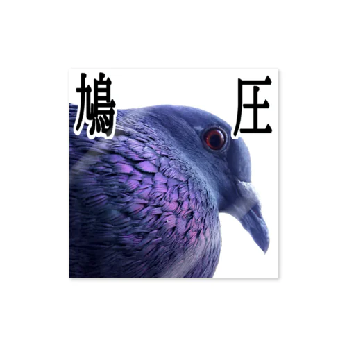 鳩圧 ステッカー