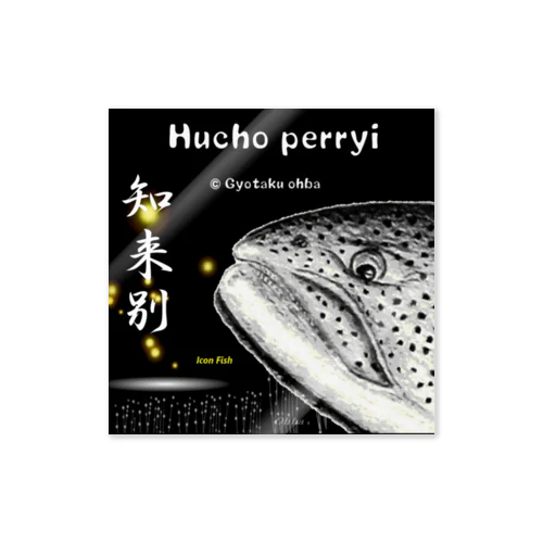 イトウ！知来別（HUCHO PERRYI）生命たちへ感謝を捧げます。※価格は予告なく改定される場合がございます。 Sticker