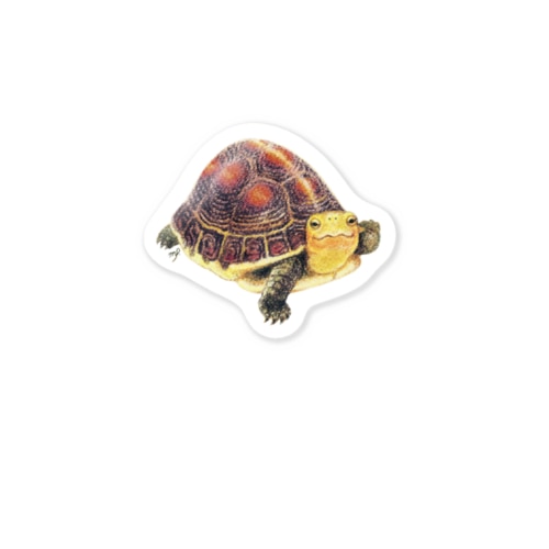 せまる！ セマルハコガメ Sticker