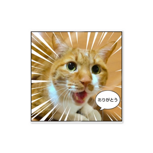 顔芸猫チャロ Sticker