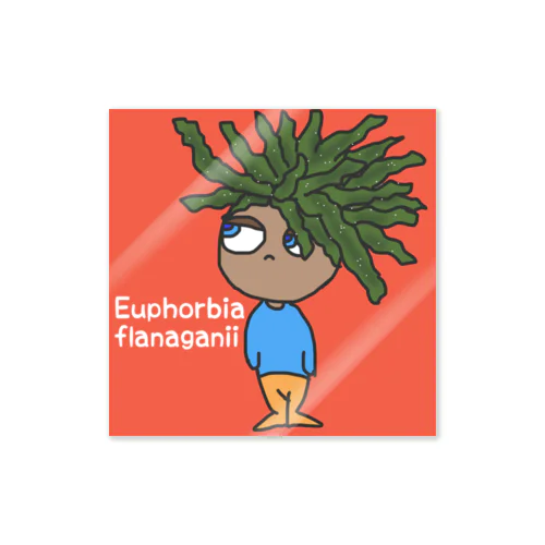 Euphorbia flanaganii  Sticker