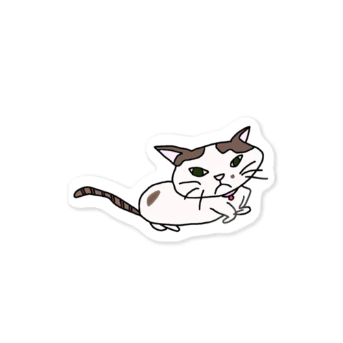 愛猫　こなつちゃん Sticker