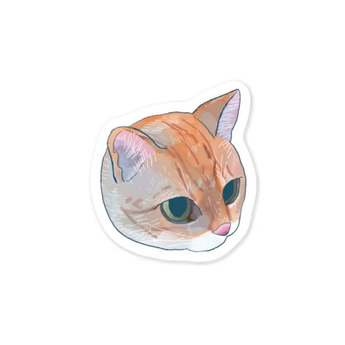 上から見た猫 Sticker