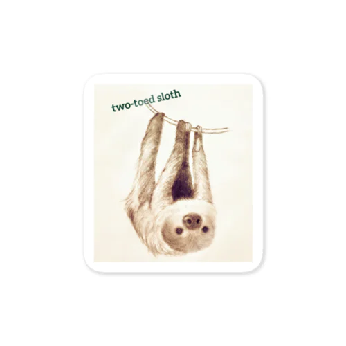 two-toed sloth Sticker