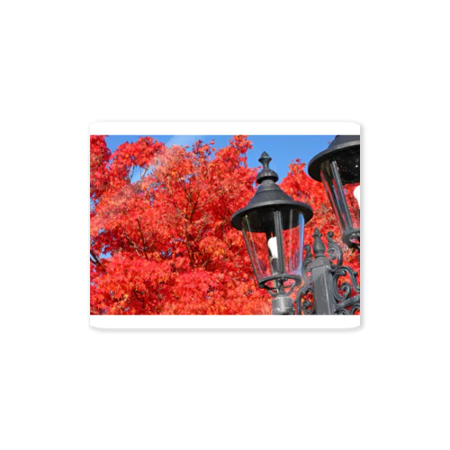 真っ赤な紅葉 - Beautiful red leaves - ステッカー