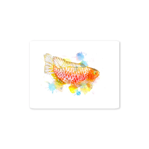 オレンジの魚 Sticker