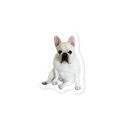 フレンチブルドッグ Sticker