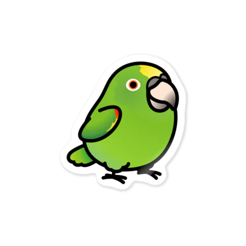 Chubby Bird キビタイボウシインコ ステッカー