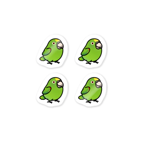 Chubby Bird キビタイボウシインコ Sticker