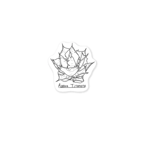 アガベ　チタノタ Sticker