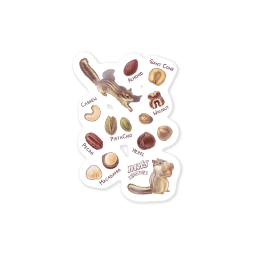 NUTS collection ナッツコレクション Sticker