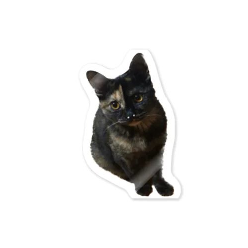 サビ猫くう Sticker