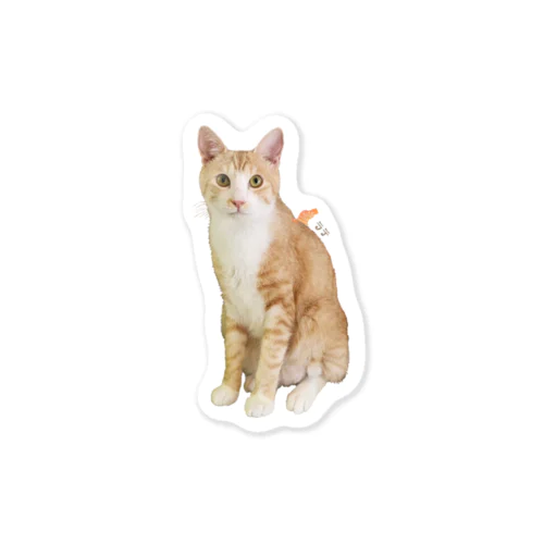 いつものラテ王子by黒豆猫 Sticker