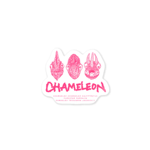 the chameleon ステッカー