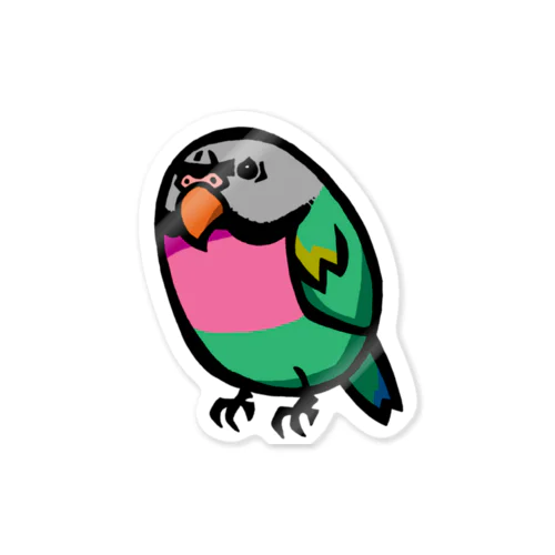 ダルマインコのカゲトラさん（ギョリギョリ） Sticker