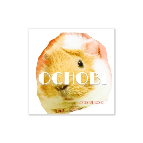 モルモットのおちょびさんです Sticker
