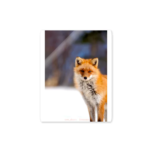 Nature of Hokkaido(Fox) Sticker