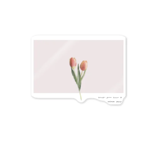 two peach tulip . Sticker