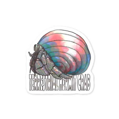 Terrestrial Hermit Crab (trans) Sticker