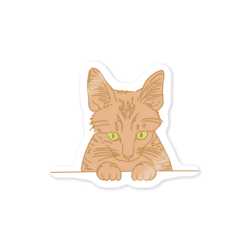 ひょっこり顔出し猫　茶トラ Sticker