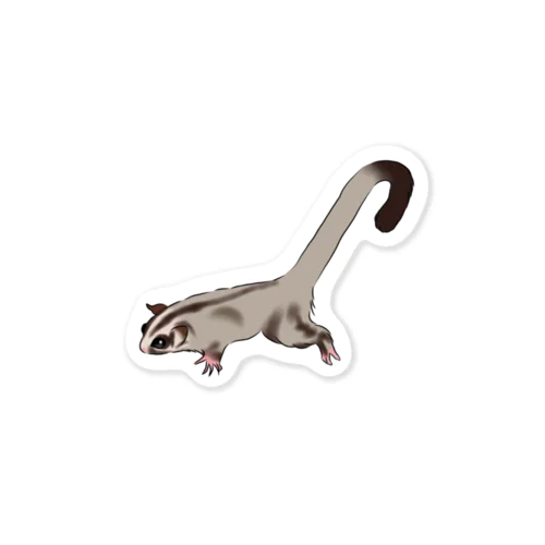 Walking Sugar glider! Sticker