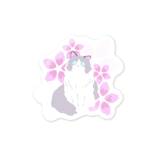 ラグドール×桜 Sticker