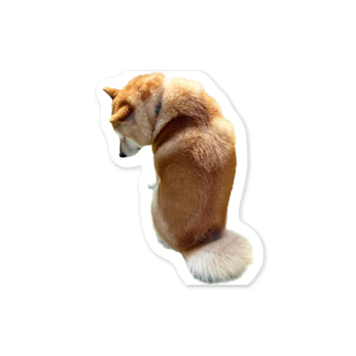 shibaholmes 柴犬ホームズ1 Sticker