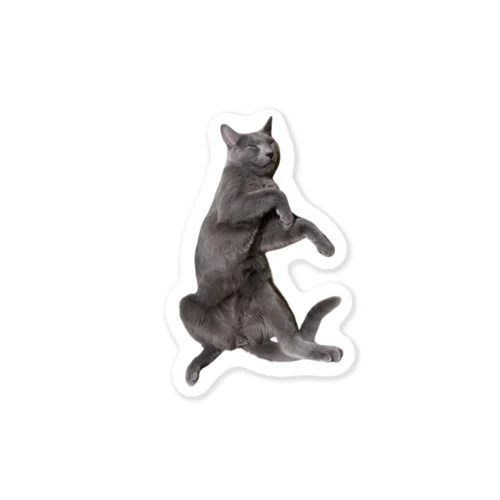 やせいがないねこ Sticker