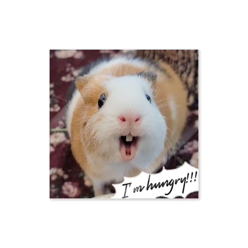 I'm hungry!!!!! Sticker