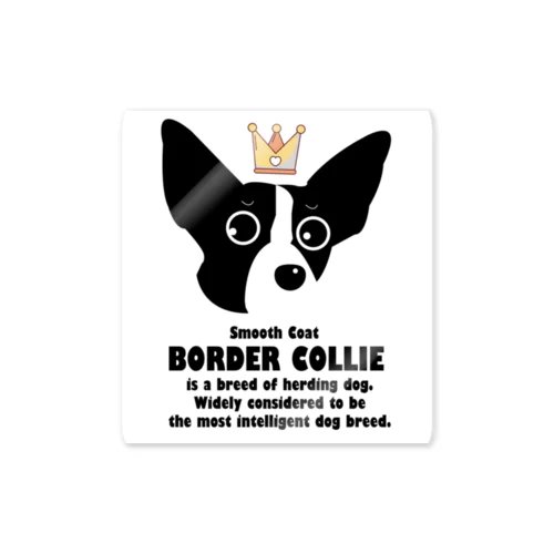 スムースボーダーコリー   smoothbordercollie Sticker