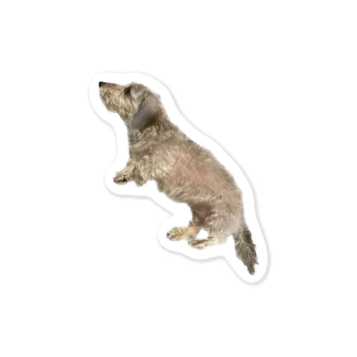 飛んでるように見えるぴのこ Sticker