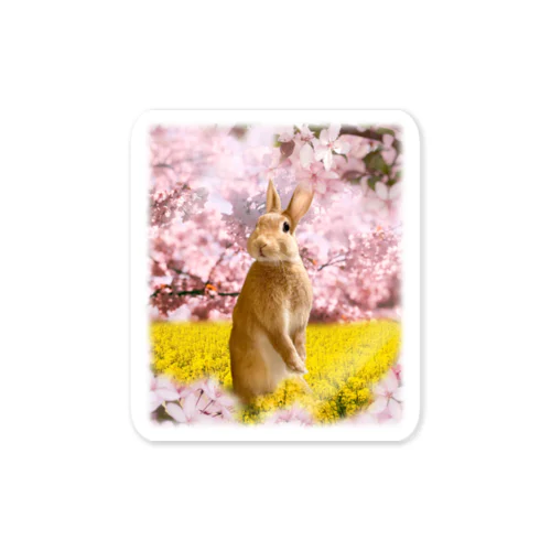 お花見うさぎ-うさぎのうみ Sticker