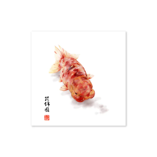 【金魚】桜錦～春陽に目覚め～ Sticker