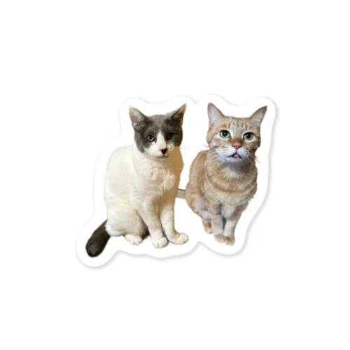 りりしず Sticker