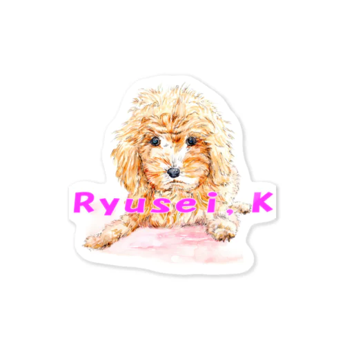 Ryusei,Kシリーズ【トイプードル】 Sticker