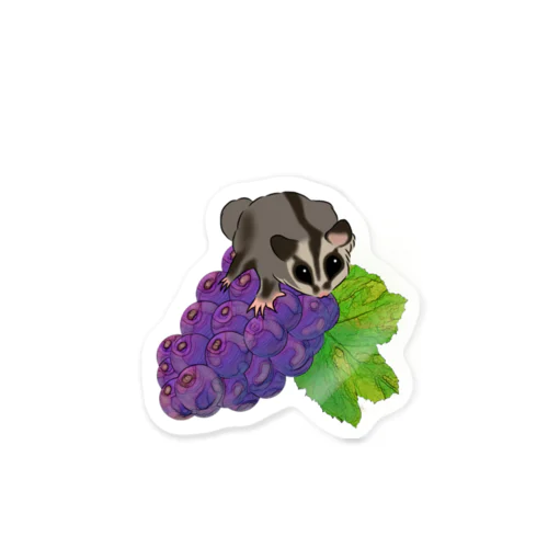 Sugar glider is on grapes! Sticker