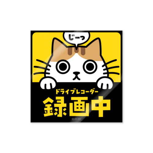 じーっとみる猫・ドライブレコーダー録画中！（茶シロ・ハチワレ） ステッカー