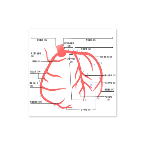 とにかく冠動脈！ ステッカー