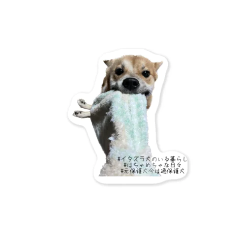 こめ太郎いたずらシリーズ Sticker